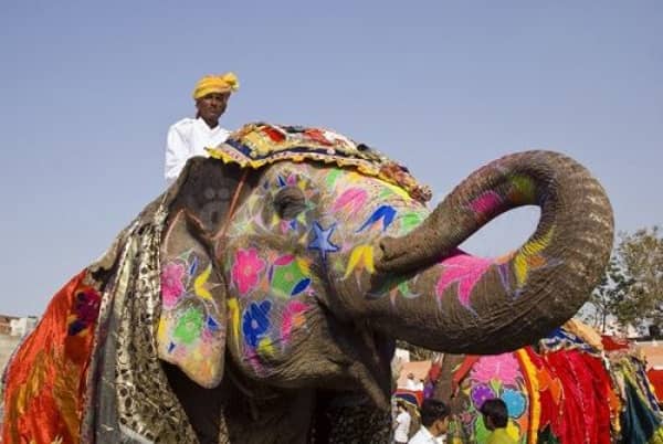 Decorated Elephant, Rajasthan