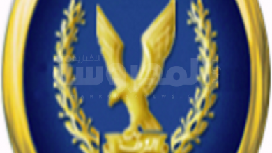 وزارة الداخلية المصرية