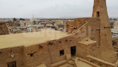 إحياء وتطوير قرية شالي الأثرية للحفاظ على التراث السيوى