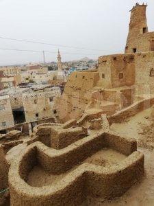 إحياء وتطوير قرية شالي الأثرية للحفاظ على التراث السيوى 