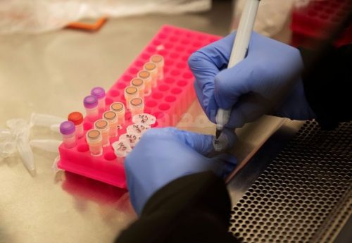 File Photo: Researchers Set Up New Labs To Help Fight Coronavirus At The University Of Minnesota