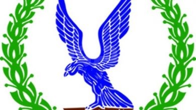 شعار الشرطة المصرية