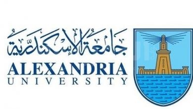 جامعة الإسكندرية