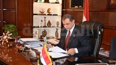 محمد سعفان وزير القزى العاملة والتدريب