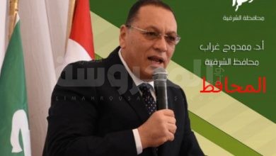 الدكتور ممدوح غراب محافظ الشرقية