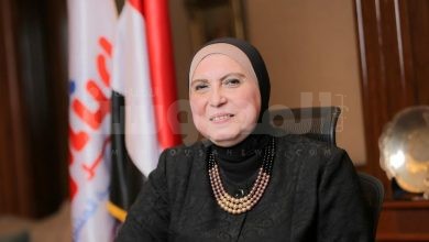 نيفين جامع، وزيرة التجارة والصناعة