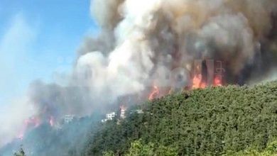 حريق كبير في غابات الصنوبر في محلة القطلبة بدولة لبنان