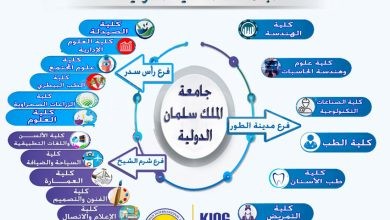 الجامعات المصرية الأهلية