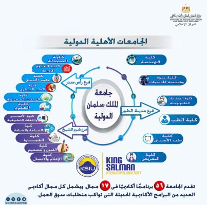 الجامعات المصرية الأهلية