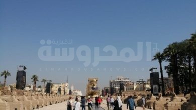 توافد آلاف الزائرين لزيارة طريق المواكب الكبرى المعروف إعلامياً بطريق الكباش 4