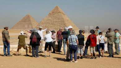 الإرشاد السياحى فى مصر