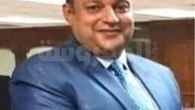 محمد هيبة رئيساً للشركة القابضة المالية سياف