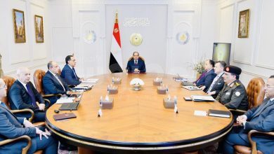 السيسى يوجه بضرورة تحسين التجربة السياحية في مصر من جميع الجوانب