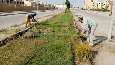 بالصور .. جهاز حدائق اكتوبر يرفع كفاءة المسطحات الخضراء فى الطرق الرئيسية والمشروعات السكنية بالمدينة 2