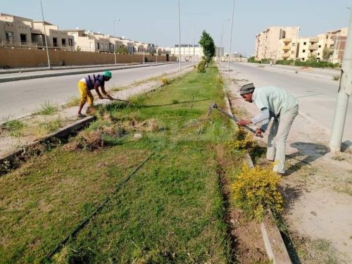 بالصور .. جهاز حدائق اكتوبر يرفع كفاءة المسطحات الخضراء فى الطرق الرئيسية والمشروعات السكنية بالمدينة 2