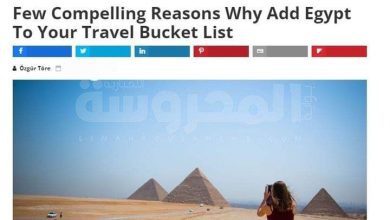 موقع Focus On Travel News Ftn يسلط الضوء على أسباب اختيار السائحين للمقصد السياحي المصرى