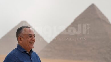 الدكتور مصطفى وزيرى الأمين العام للمجلس الأعلى للآثار