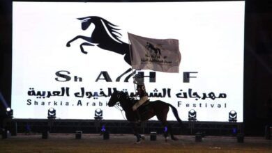 الدورة الـ 27 لمهرجان الشرقية للخيول العربية