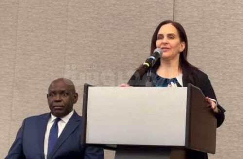 نانسى عبد العادى 