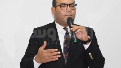 محمد هيبة، نقيب شباب محامي شمال القاهرة