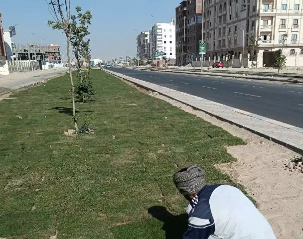 جهاز سوهاج الجديدة يكشف عن أحدث مشروعات الزراعة بالمدينة 3