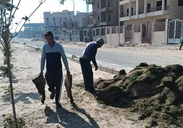 جهاز سوهاج الجديدة يكشف عن أحدث مشروعات الزراعة بالمدينة 5