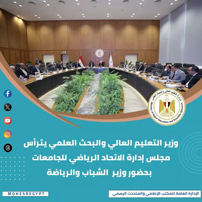 حصاد التعليم العالي إنجازات بارزة وجهود مستمرة لتطوير المنظومة التعليمية 1