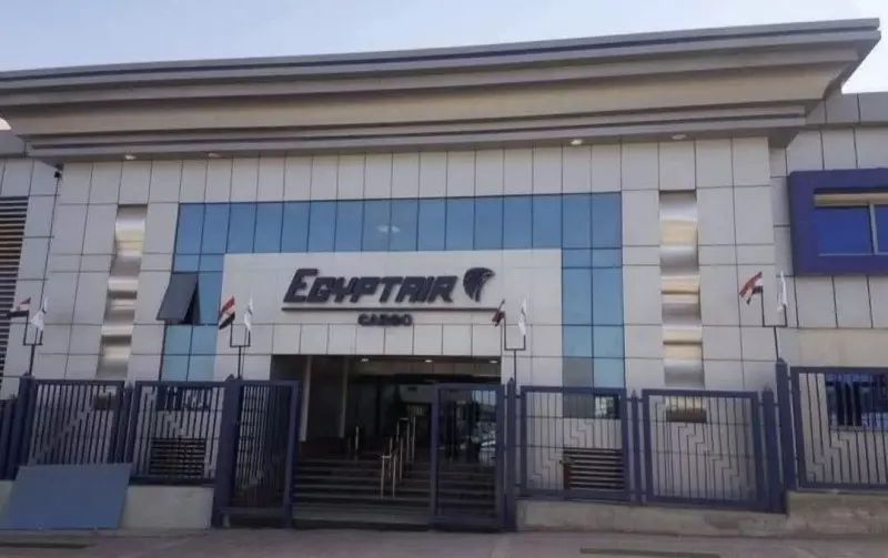 مصر للطيران للشحن الجوى