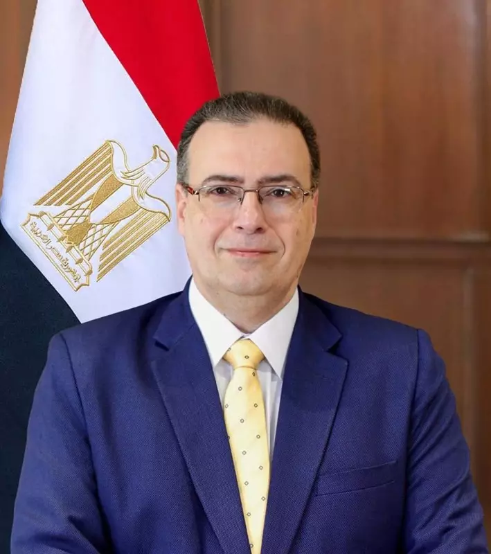 المهندس حاتم نبيل، رئيس الجهاز المركزي للتنظيم والإدارة